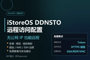 iStoreOS DDNSTO 教程：路由远程访问安装与网络配置