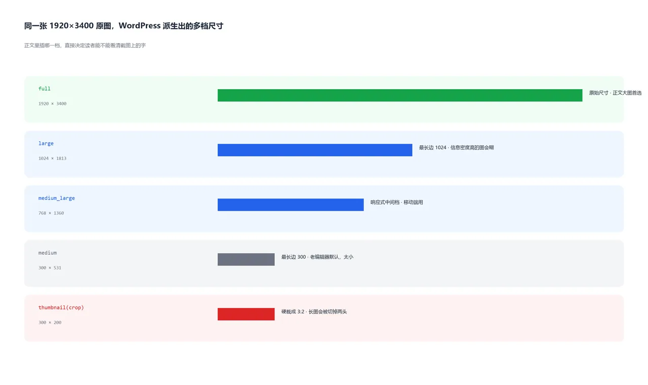 WordPress 一张原图自动生成的多档尺寸对比示意